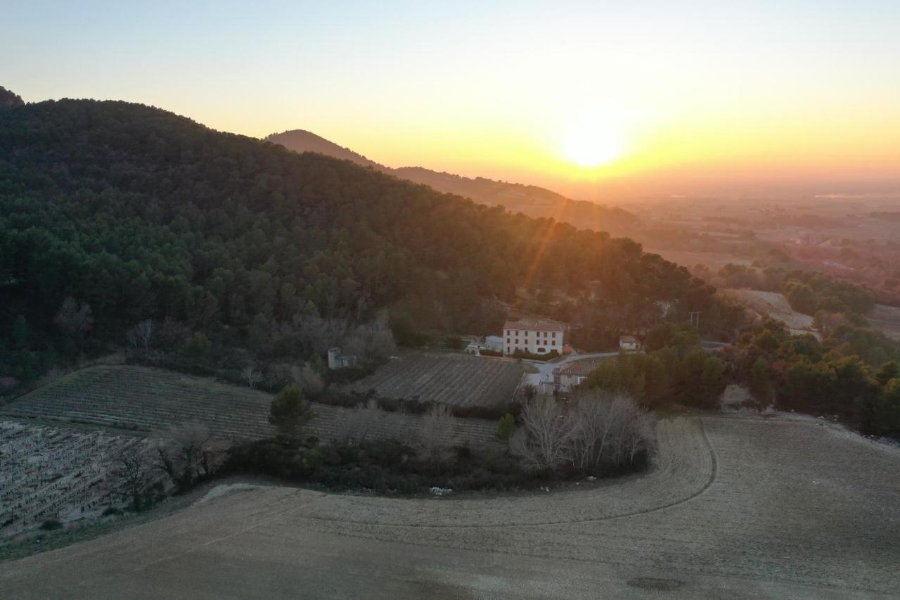 Les Tuileries De Lencieux Gigondas